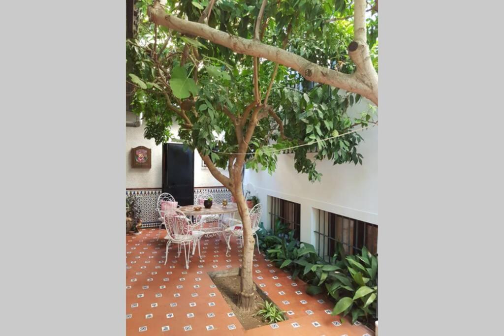 Casa En Granada Con Hermoso Jardin, Parking Calle المظهر الخارجي الصورة